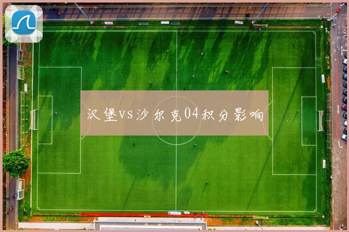 汉堡vs沙尔克04积分影响