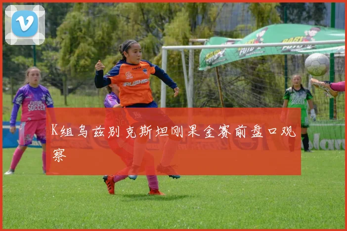 K组乌兹别克斯坦刚果金赛前盘口观察