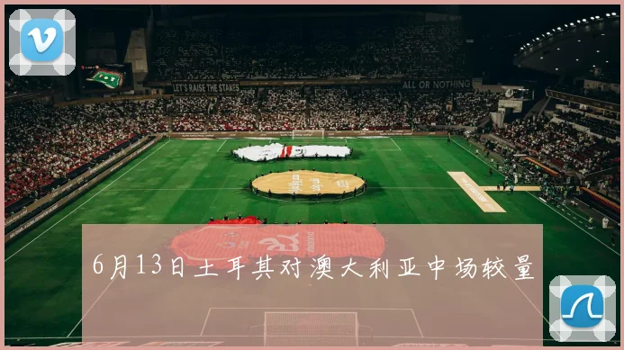 6月13日土耳其对澳大利亚中场较量